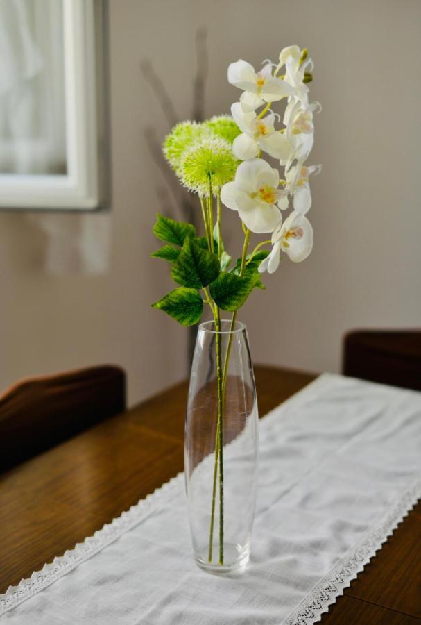 Apartment Niksa Novigrad  Luaran gambar